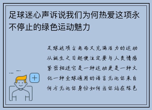 足球迷心声诉说我们为何热爱这项永不停止的绿色运动魅力
